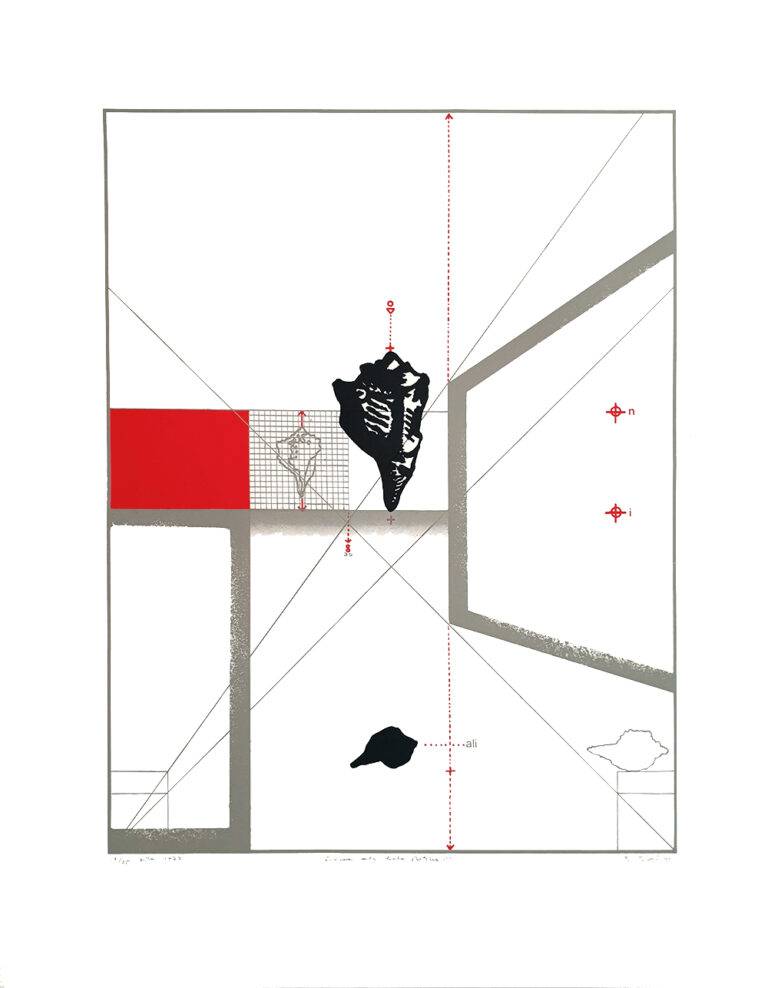 Borcic-Bogdan_Crna-ali-bela-skoljka-II_sitotisk_1977_100x70_