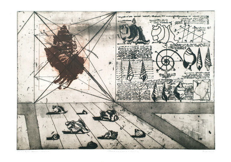 Borcic-Bogdan_Tokrat-precej-vec-o-skoljki-I-B_kombinirana-tehnika_1972_100x70_