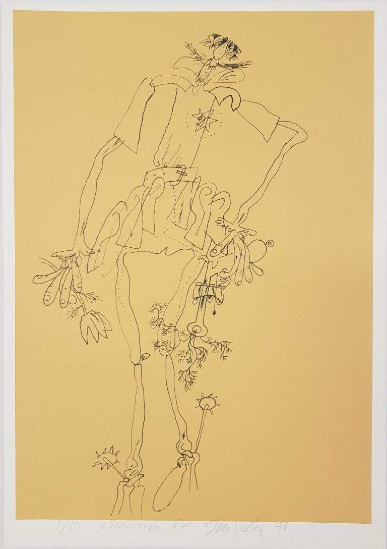 CiuhaJoze_VariacijaII_sitotisk1_25