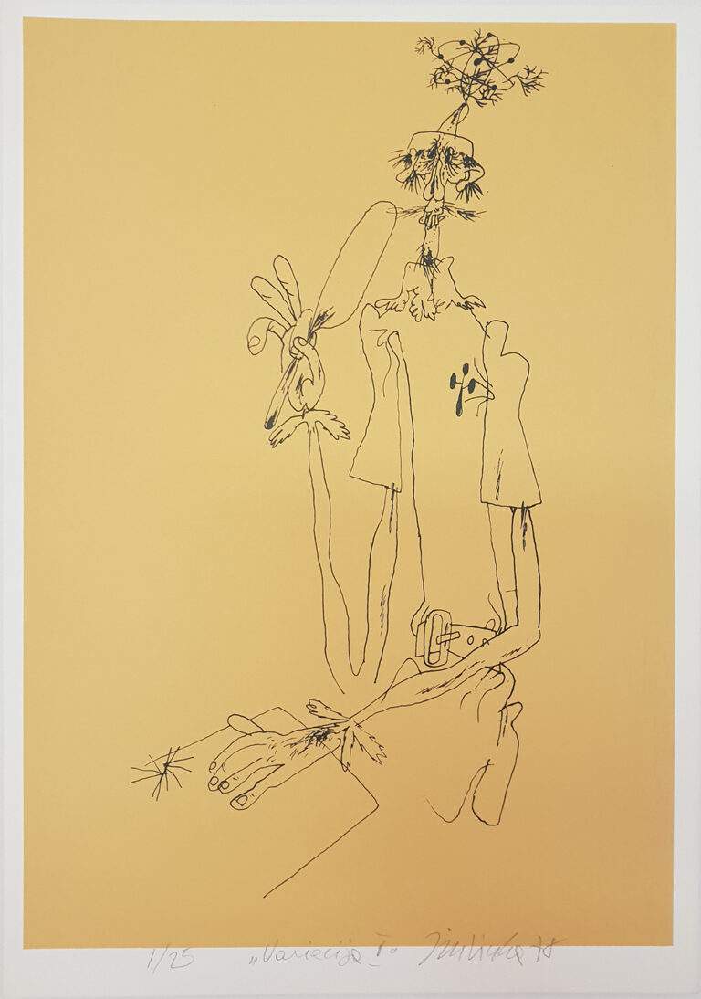 CiuhaJoze_VariacijaI_sitotisk1_25