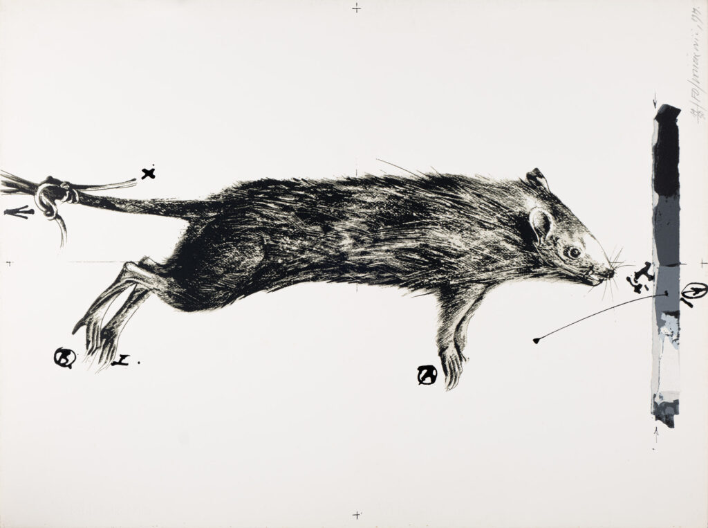 Velickovic-Vladimir_FD_sitotisk_60x80_1979_