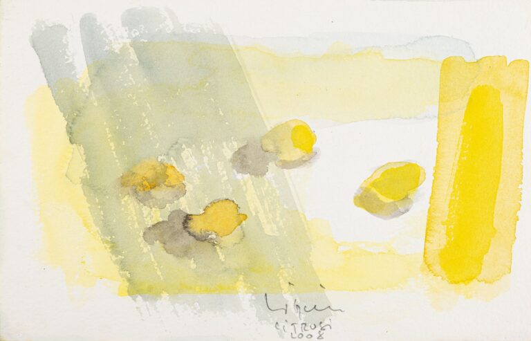 Vizjak-Jana_Citrusi_akvarel-na-papir_2008_12-5x20_
