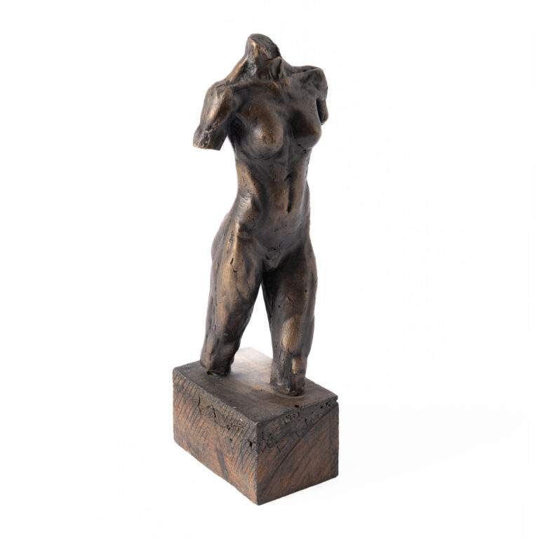 Blazevic-Tomislav_Akt-I_bron_2022_27x6x9_1050