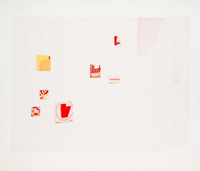 Bernik Viktor_t.Dash_Sitotisk_2005_65x76cm_DSF4426