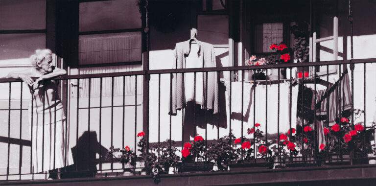 Musper Jeroen_Ljubljana_Digitalni tisk_185x370mm_2006_DSF4028