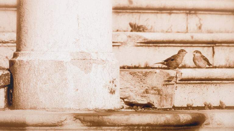 Musper Jeroen_Ljubljana_Digitalni tisk_210x370mm_2006_DSF4025