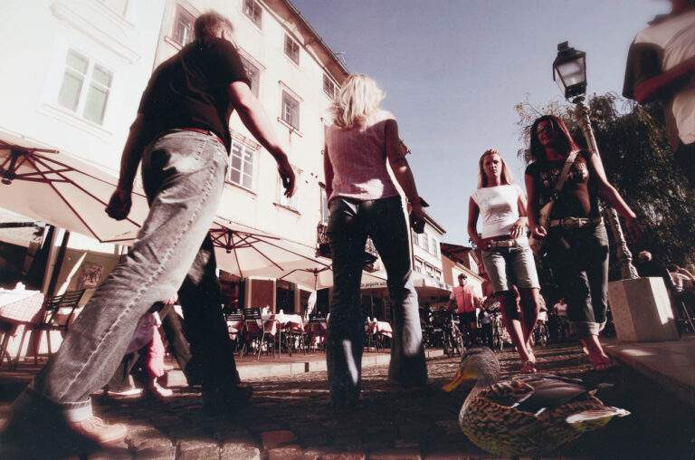 Musper Jeroen_Ljubljana_Digitalni tisk_245x370mm_2006_DSF4017