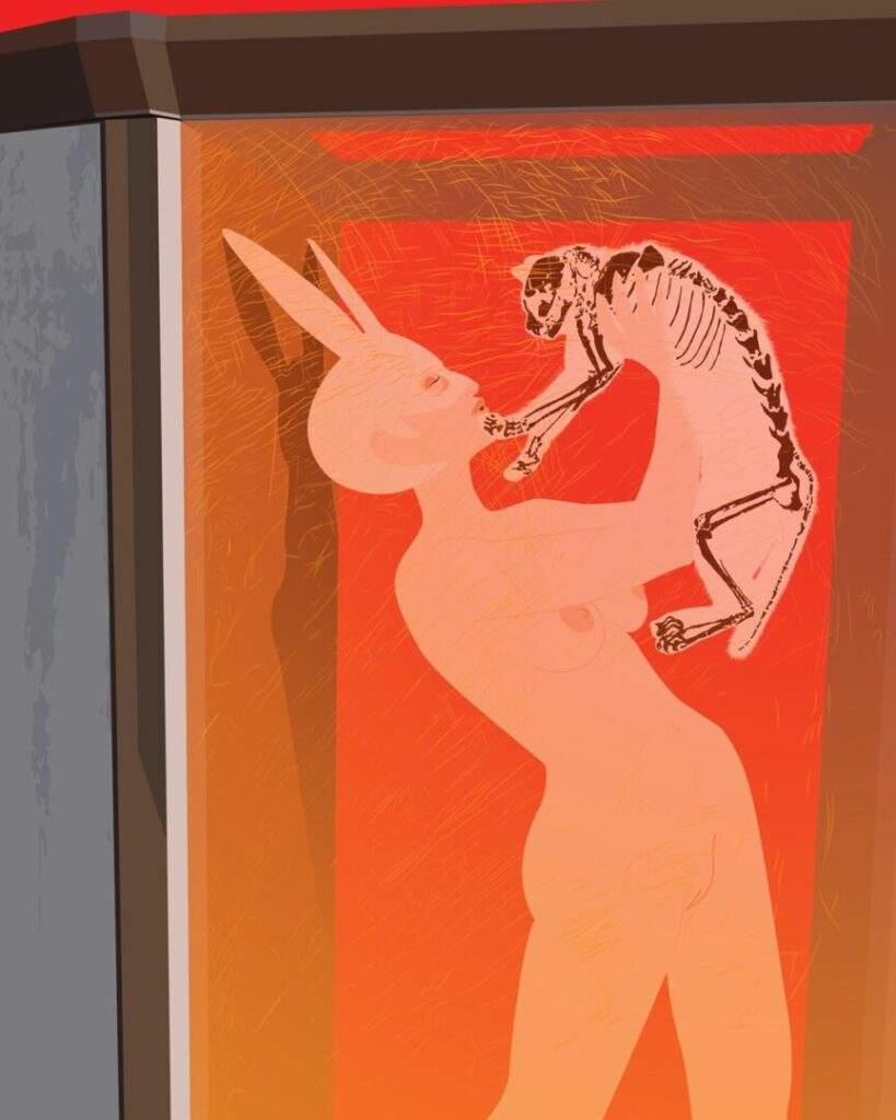 Doris_2024_vektorska grafika