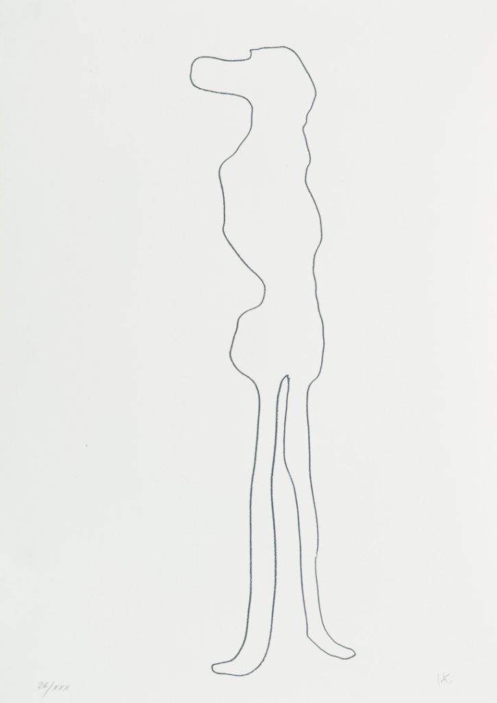 Kozaric Ivan_BN2_Sitotisk_70x49-5cm_2012_IK Ramzes_DSF6943