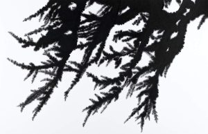 Konec Tina_Kristalizacija_Tus na papirju_85x55cm_2025_DSF8509