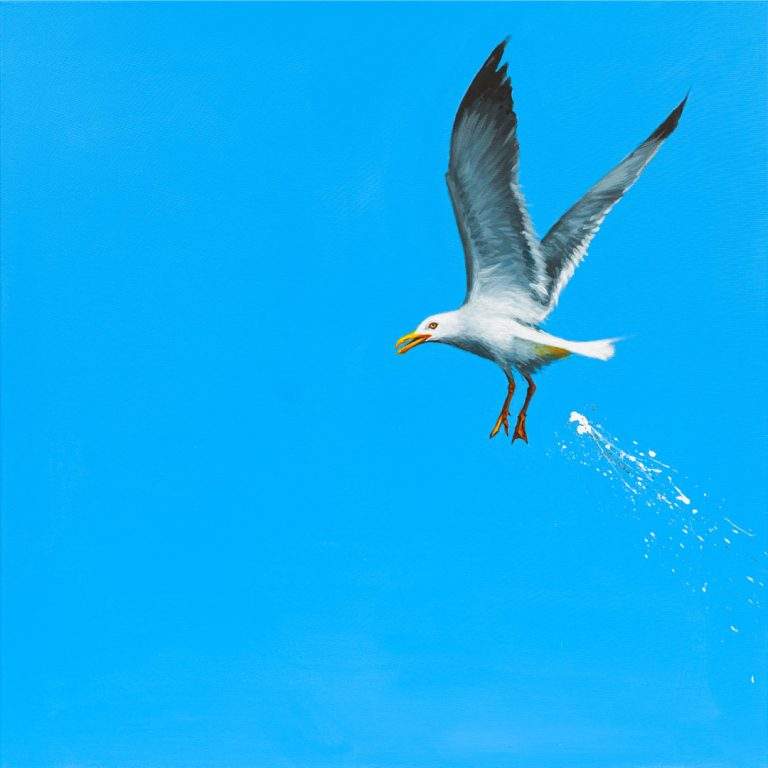 Stosic Dorde_Galeb_Giclee tisk_20x30cm_30x40cm_2025